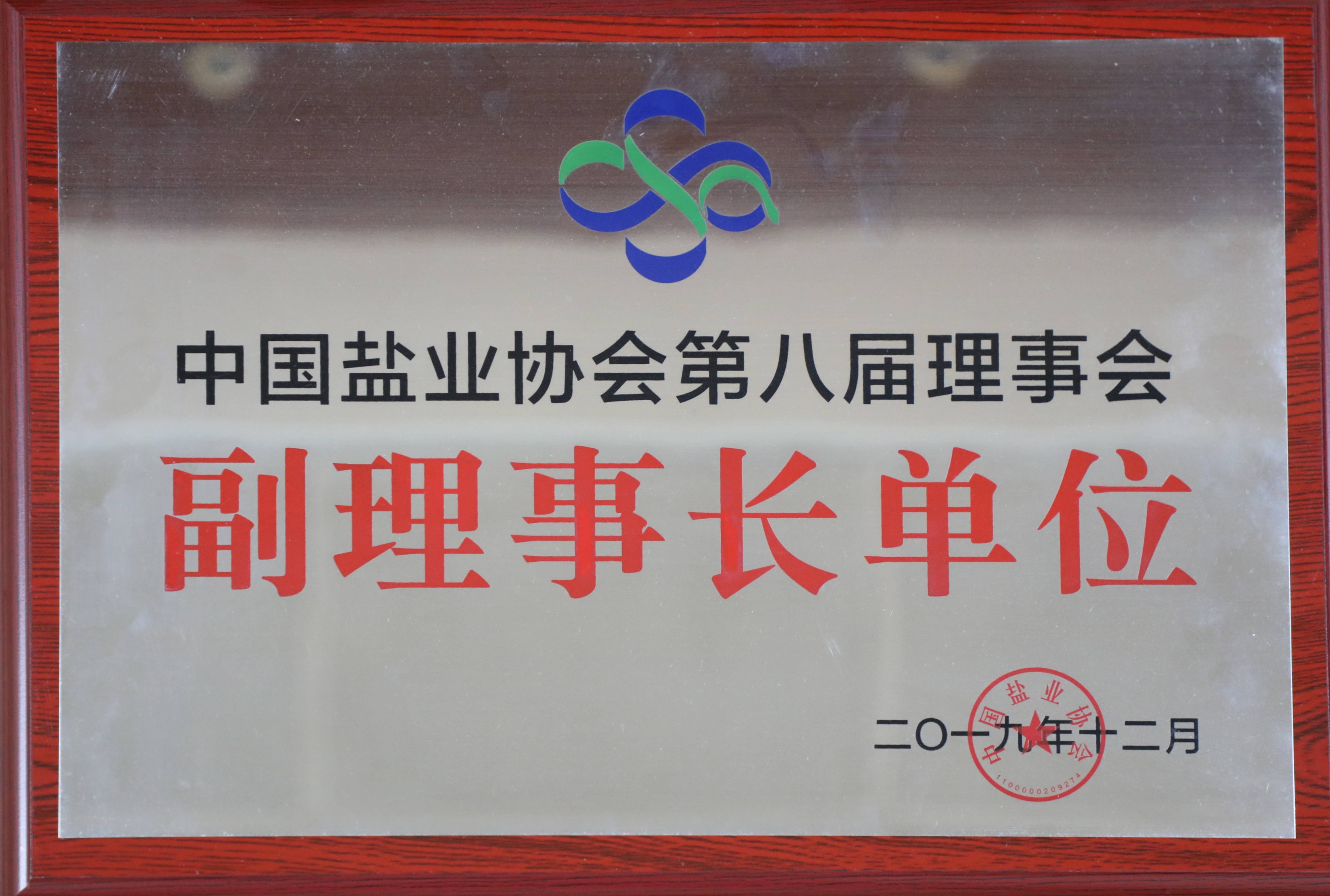 中国优游国际协会第八届理事会副理事长单位